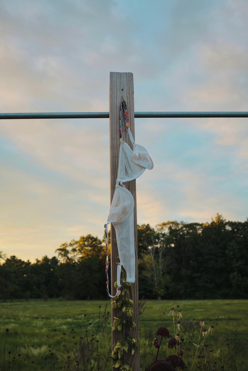 Balconette Button Bra